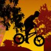 twilightbmx